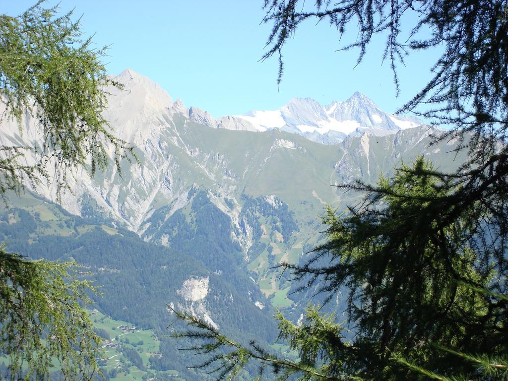 Apartment Pötscher Matrei in Osttirol
